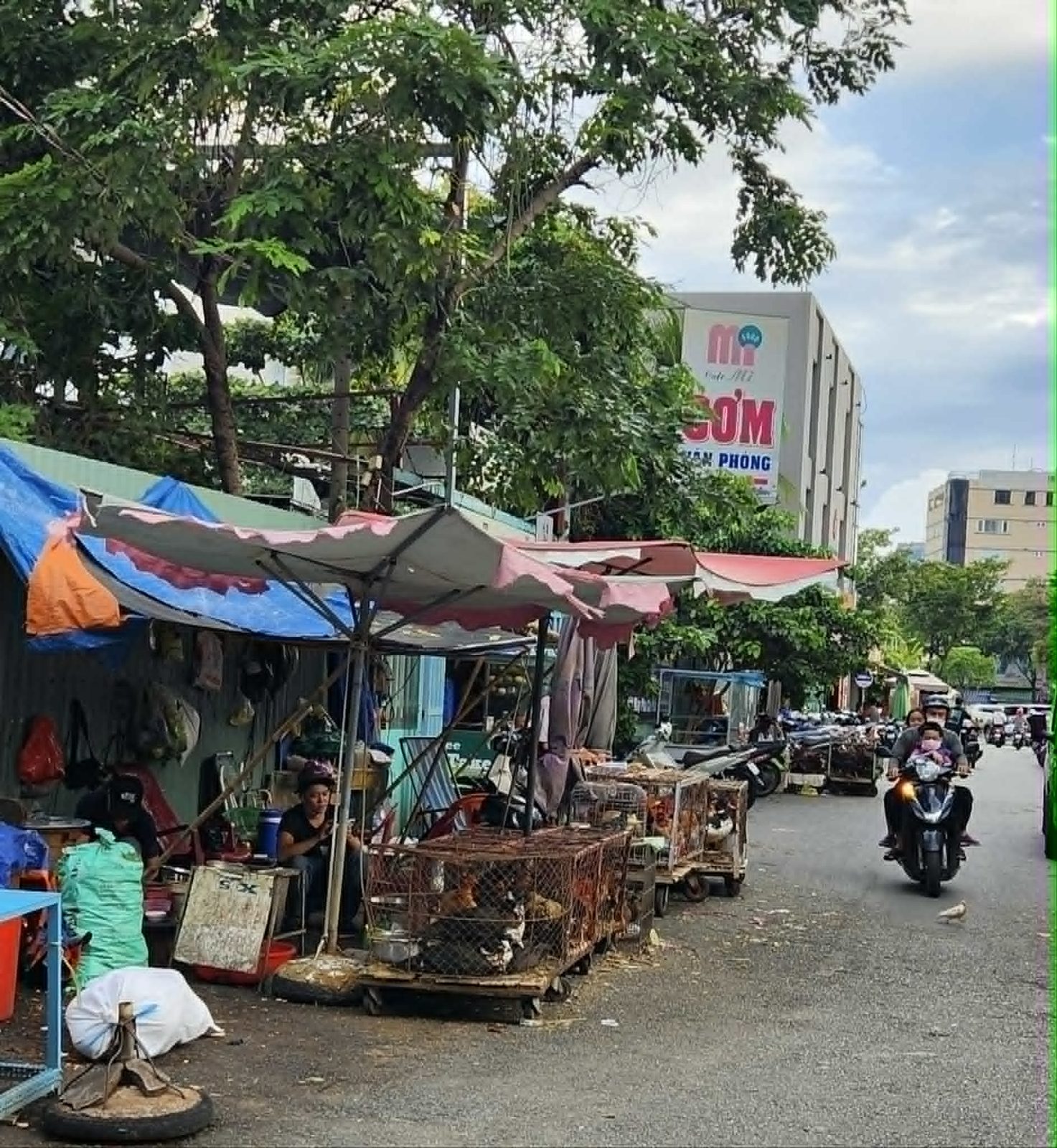 A street vendor's stall of caged poultry, part of ethnographic fieldwork